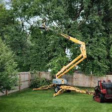 Professional Tree Services in Alexander, AR